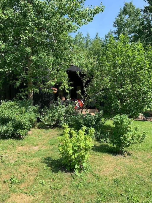 Small Cozy 3-Room House With Terrace & Large Garden Ilmandu Exterior photo
